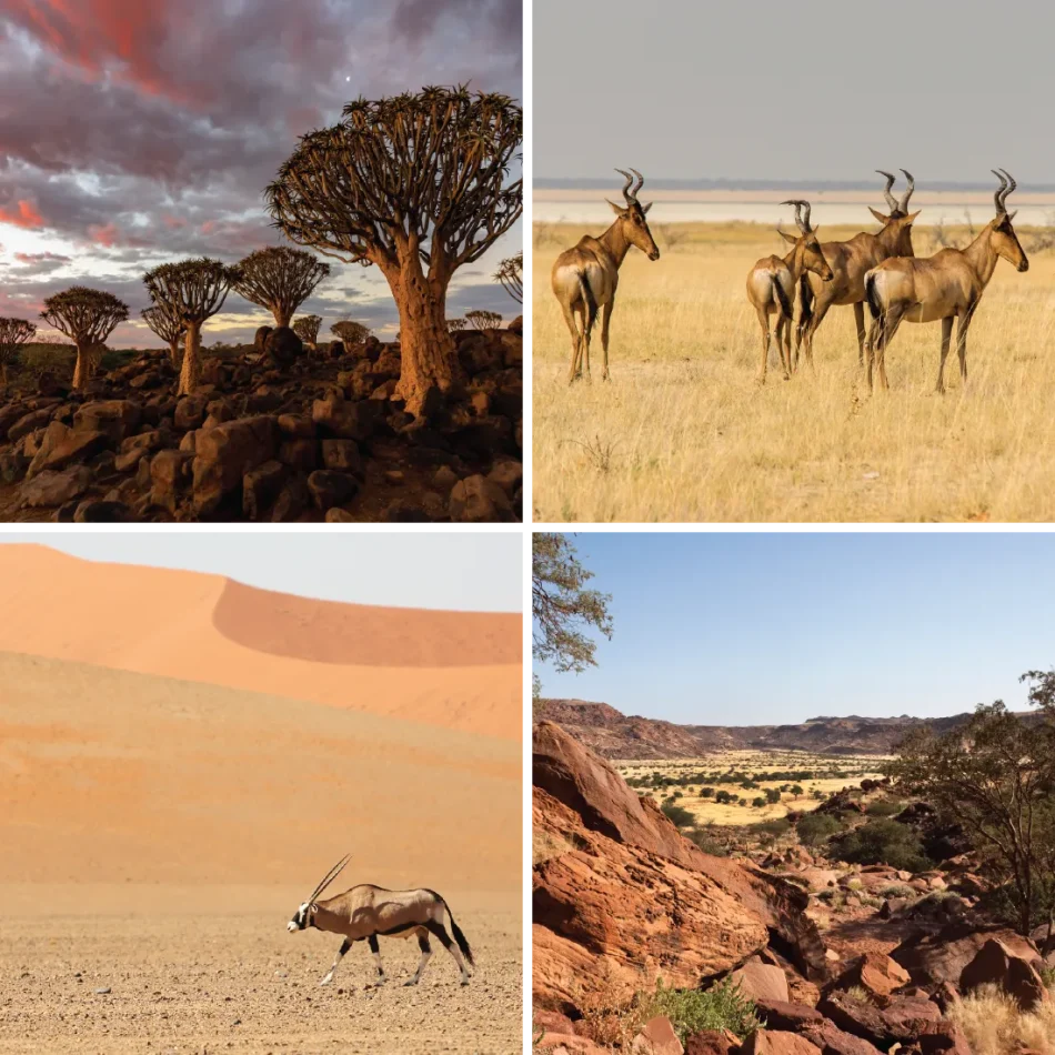 AE-ClassicSafari-Grande Namibia