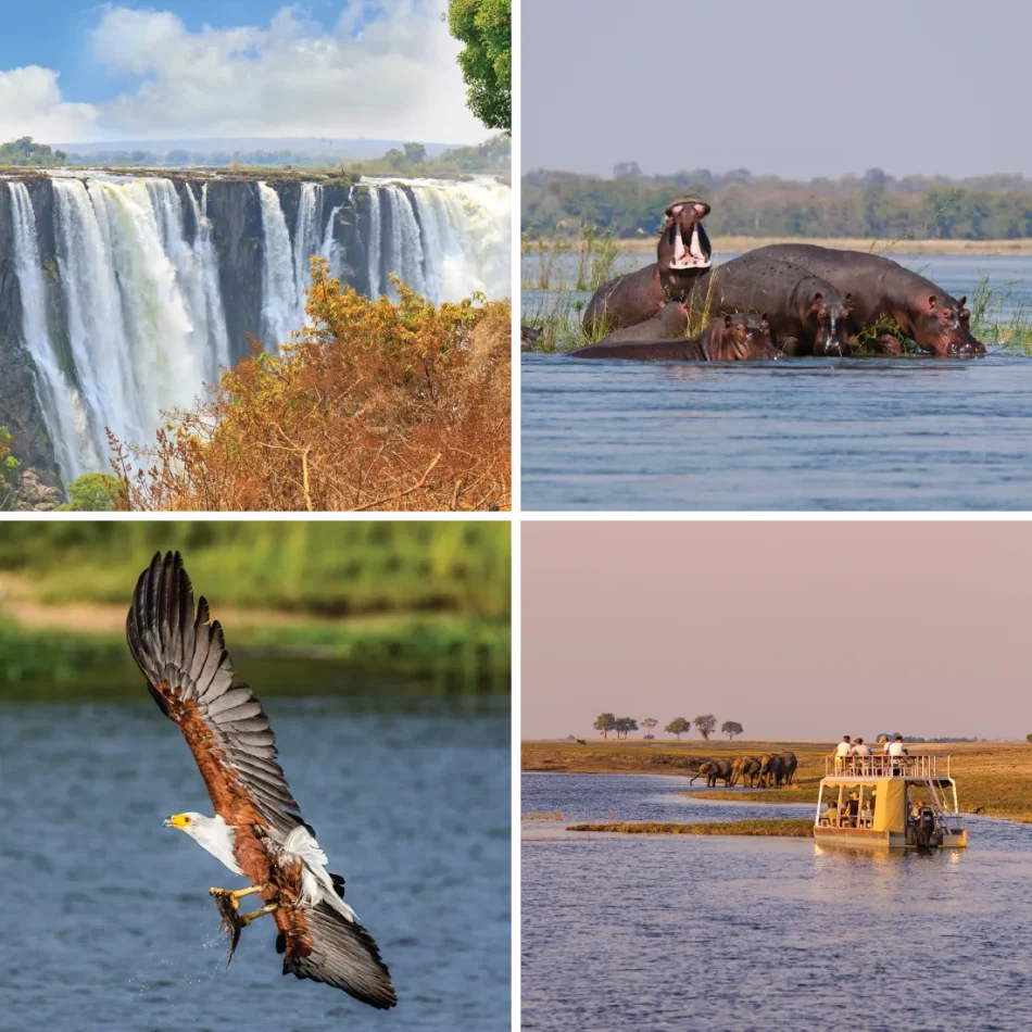 AE-ClassicSafari-fourriver_1