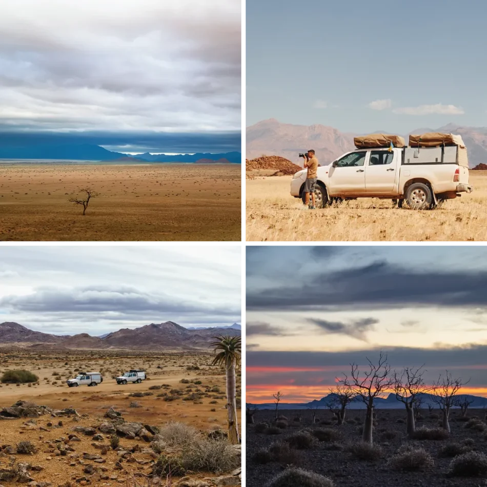 AE-TMS-Self-drive Safaris